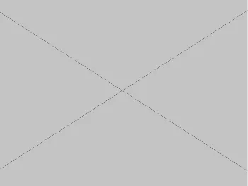 faculty